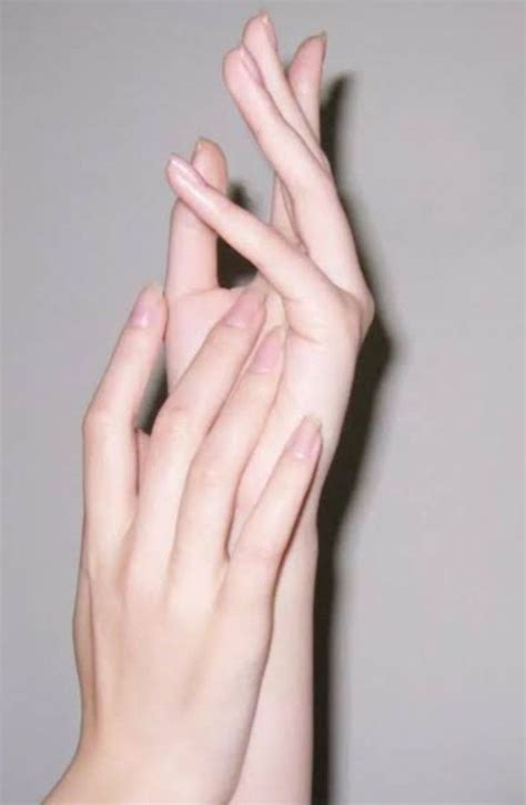 hand reference anatomy reference pose reference photo art reference photos pretty hands