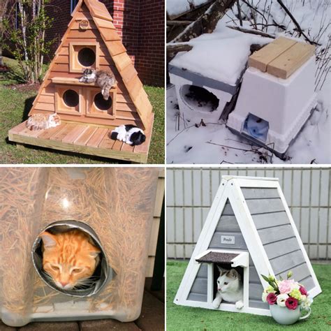 How To Make A Diy Cat House Image To U