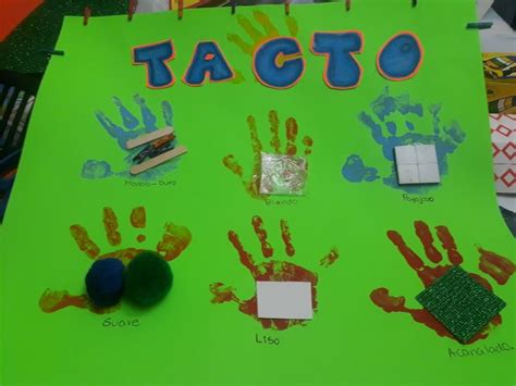 Sentido Del Tacto Para Kinder Sentido Del Tacto Enseñar A Los Niños