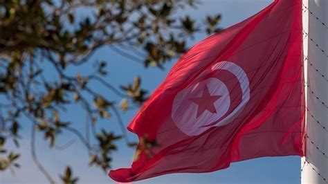 تبلغ مساحة الجمهورية التونسية 163,610 كم2. قبيل انتهاء مهلة سعيد.. أسماء مرشحة لرئاسة حكومة تونس