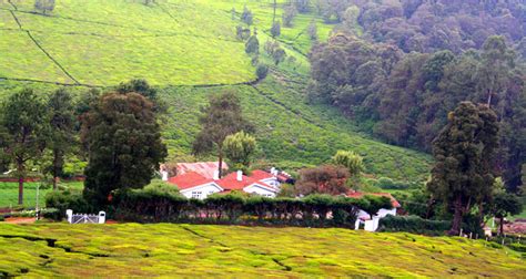 1 Day Ooty Trip From Mysore Tour By Private Car With Itinerary