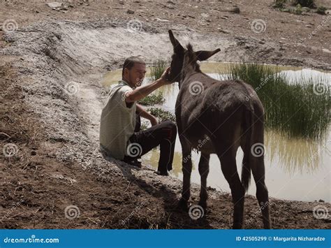 Hombre Joven Y Burro Imagen De Archivo Editorial Imagen 42505299