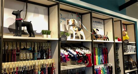 Dog Mannequins Dog Boutique Ideas Pet Store Design Dog Shop
