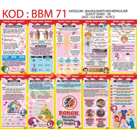 Bbm71 10pcs Poster Sudut Sains Sk Proses Hidup Manusia Shopee