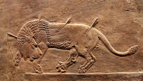 In Ancient Assyria Lion Hunting Was Considered The Sport Of Kings