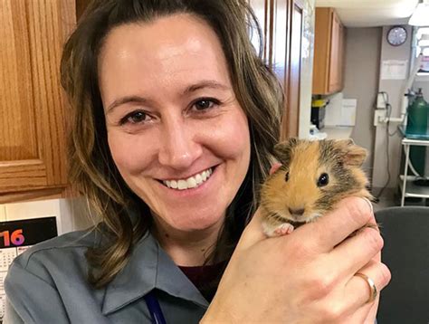 Pittsburgh Small Animal Veterinarian Hamster Vet