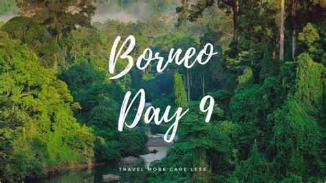 Что такое Борнео Vlog Borneo Day92018 Youtube