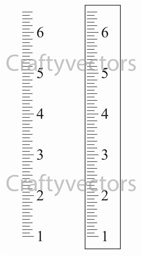 Height Chart In Inches Lovely Ruler Growth Chart Vector Template Inches