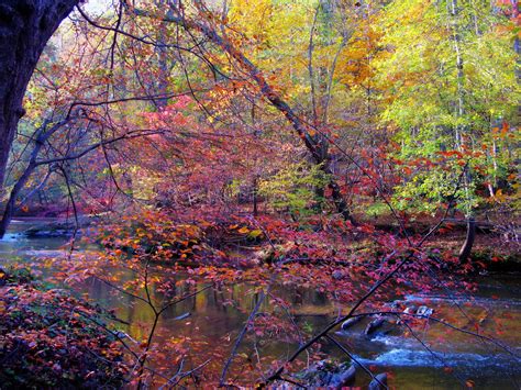 Seasons Autumn Forests Rivers Trees Nature Hd Desktop Wallpaper