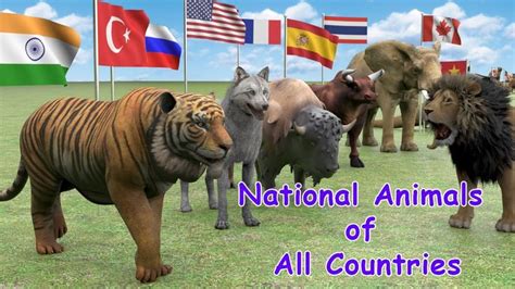 National Animals Of Countries Flags And Countries Name With National A