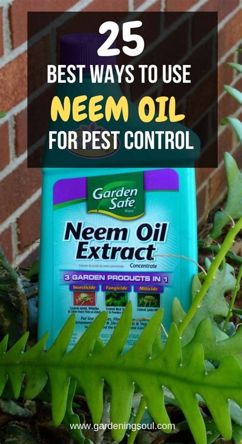 Containing an active ingredient of bifenthrin that targets over 75 unique pests, the formula of insecticide by talstar is also a versatile and robust pest control solution that can reduce bug populations down to nothing after liquid application. 25 Best Ways To Use Neem Oil For Pest Control | Pest ...