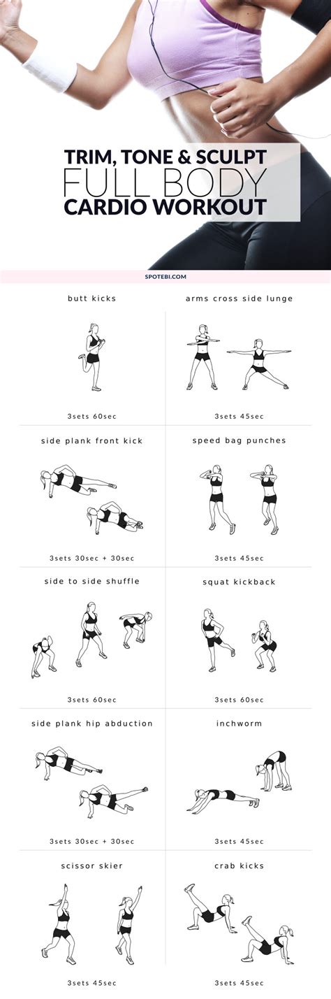 To start, we'll be taking a look at a beginner workout routine. Full Body Intermediate Workout Routine