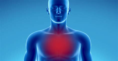 Chest Pain Torbay Physiotherapy Practice