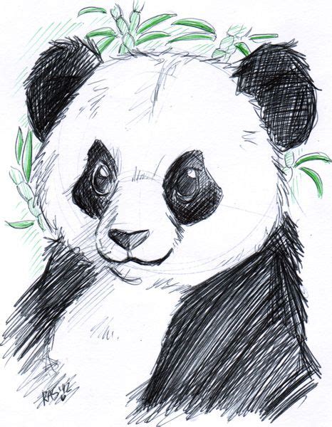 Easy Panda Cute Drawings Of Animals