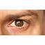Beautiful Blinking Male Eye Close Up Stock Video Footage  Storyblocks