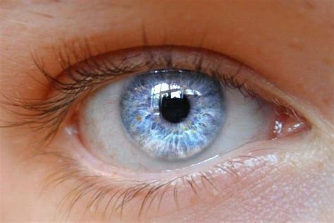 Pin By Keely Murphy On Eye Color Rare Eyes Rare Eye Colors Violet Eyes