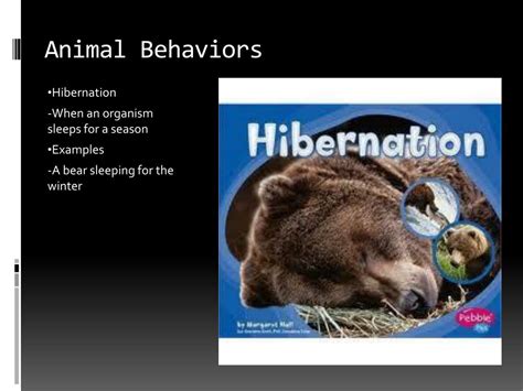 Ppt Animal Behaviors Powerpoint Presentation Free Download Id2681044