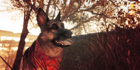 Fallout 4s Dogmeat Inspiration Passes Away