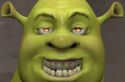 Shrek Meme Face Tradersbro