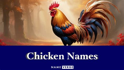Chicken Names 711 Funny Ideas For Your Cute Pet Chickens