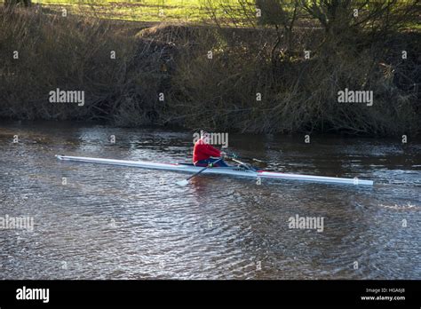 One Mature Male Rower Keeps Fit By Exercising In A Single Scull Rowing