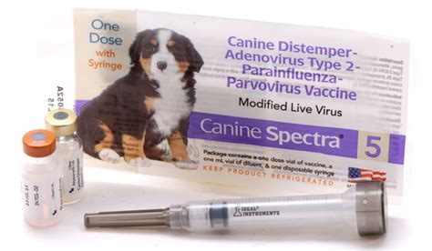 Caused by an airborne virus, distemper is a severe disease that, among other problems, may cause permanent brain damage. Canine Spectra 5, 1 Dose with Syringe - Dog Vaccines | VetDepot.com