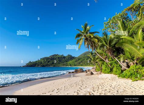 Exotic Tropical Beach With White Sand And Palms Around Stock Photo Alamy
