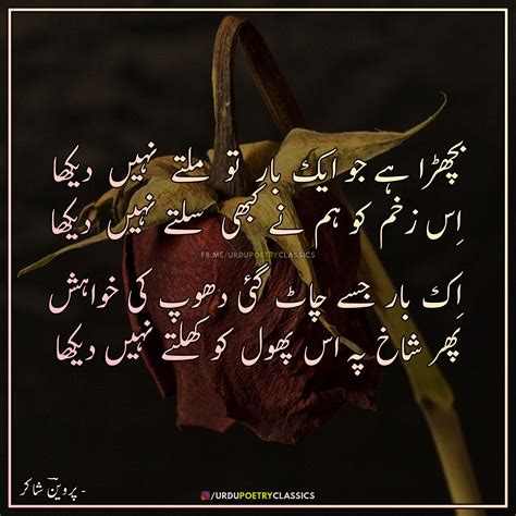 Parveen Shakir Poetry Love Poetry Urdu Parveen Shakir Poetry Poetry