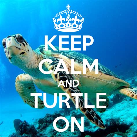 Keep Calm And Turtle On Keep Calm And Carry On Image Generator