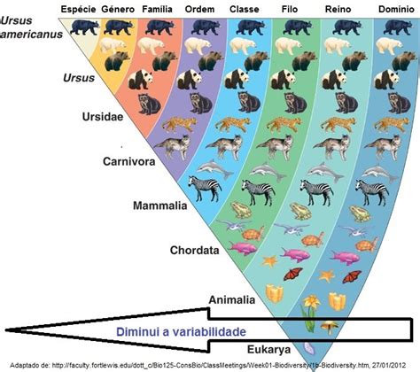 O que é taxonomia e como fazer a classificação dos seres vivos