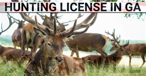 How To Get Your Georgia Hunting License Easily A Quick Guide