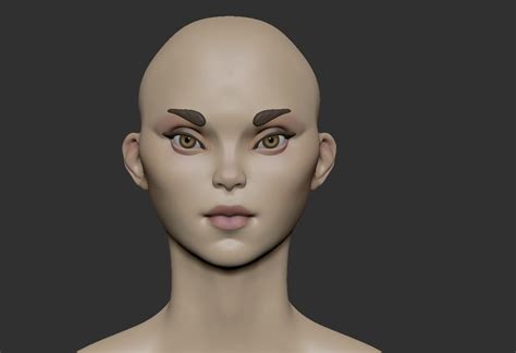 ArtStation - Stylized Head Female 1