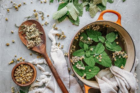 Mastering Herbal Formulation Course Learn How To Combine Herbs