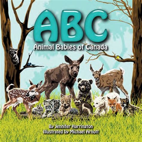 Abc Animal Babies Of Canada Childrens Book My Little Green Shop
