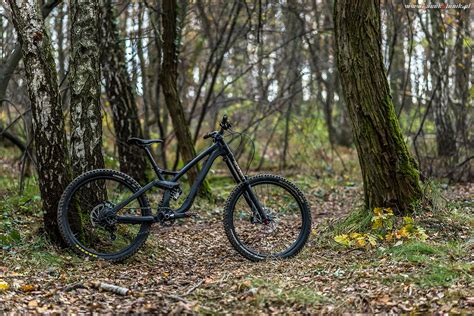 Ns Fuzz 2017 Morfs Bike Check Vital Mtb