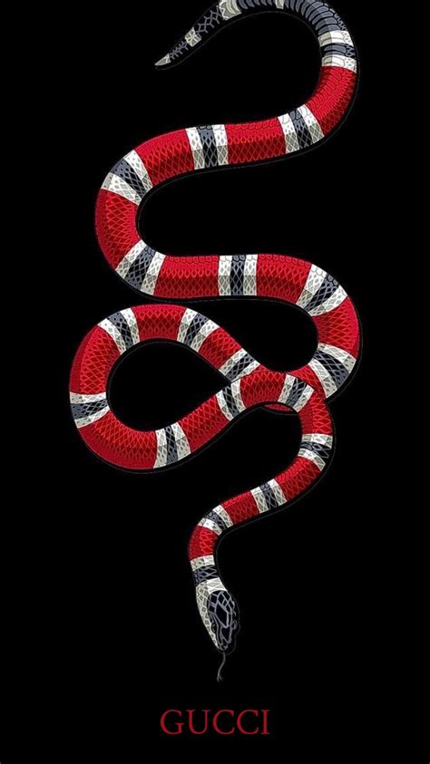 Free Download Gucci Snake Wallpaper Gucci Wallpaper Iphone 97692 Hd