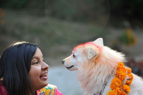 In Nepal Diwali Is A Time To Worship The Dogs Condé Nast Traveller India