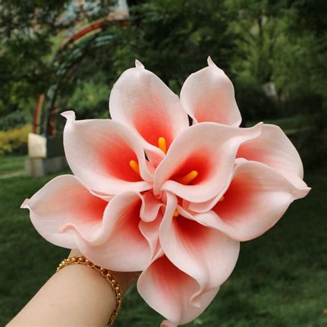 Calla Lily Blush Real Touch Flowers Latex Calla Lilies Coral Heart