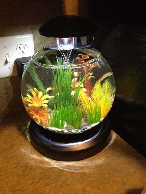 Betta Fish Bowl With Waterfall Filter And Heater Beta Fish Tank