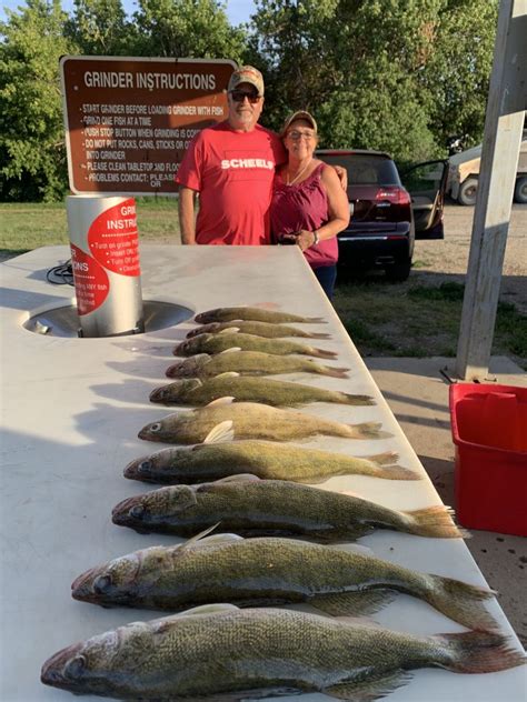 Connect via facebook, instagram, or email. Devils Lake Fishing Report-August 4th, 2020 - Mike Peluso ...