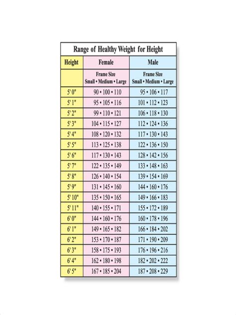 Height and Weight Chart Examples - 7+ Samples in PDF | DOC | Examples