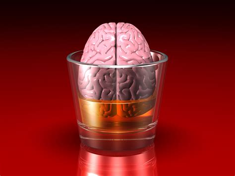 Cuidado El Alcohol Tiene Incidencia Sobre El Cerebro Ingerir Bebidas