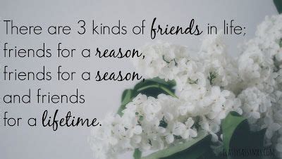 Friendship For A Reason Season Or Lifetime Get Well Wishes Friends Quotes Lifetime