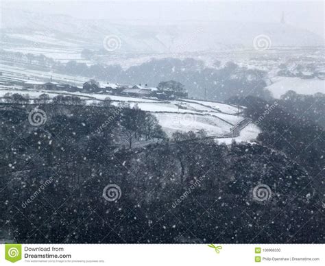 Snow Falling In A Yorkshire Dales Landscape With Winter Trees Stock