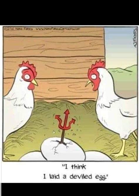 Pin By Leviatha9 On Very Funny In 2020 Chicken Jokes Chicken Humor Chicken Pictures