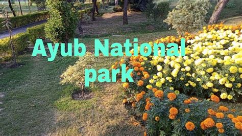 Ayub National Park Rawalpindi Beautiful Park YouTube