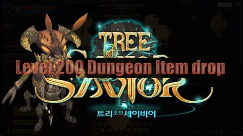 Players of tree of savior know how important dungeon runs are. 【Tree of Savior 】Level 200 Dungeon Item drop - Catacombs ...