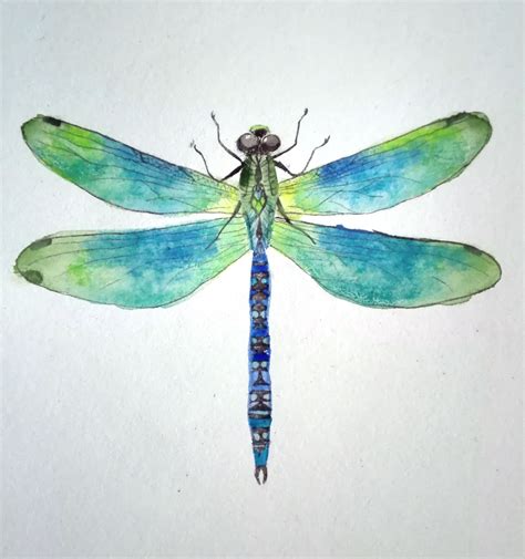 Watercolor Dragonfly Painting Dragonfly Painting Watercolor