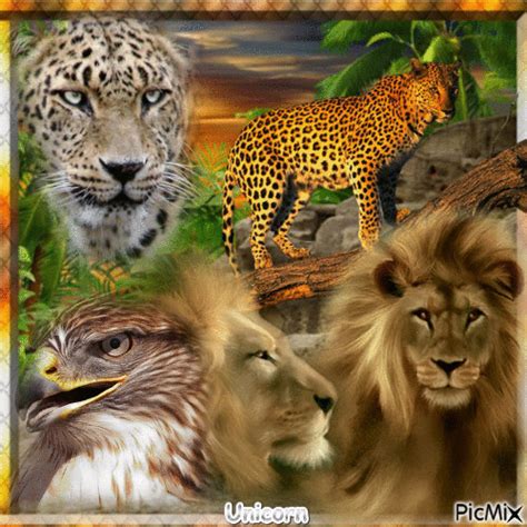 The Wild Animals Free Animated  Picmix