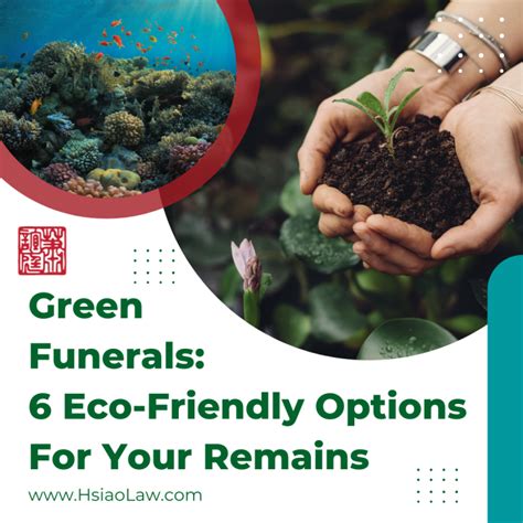 Green Funerals 6 Eco Friendly Options For Your Remains